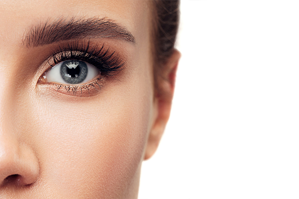 02_mideditoriale_CREXY