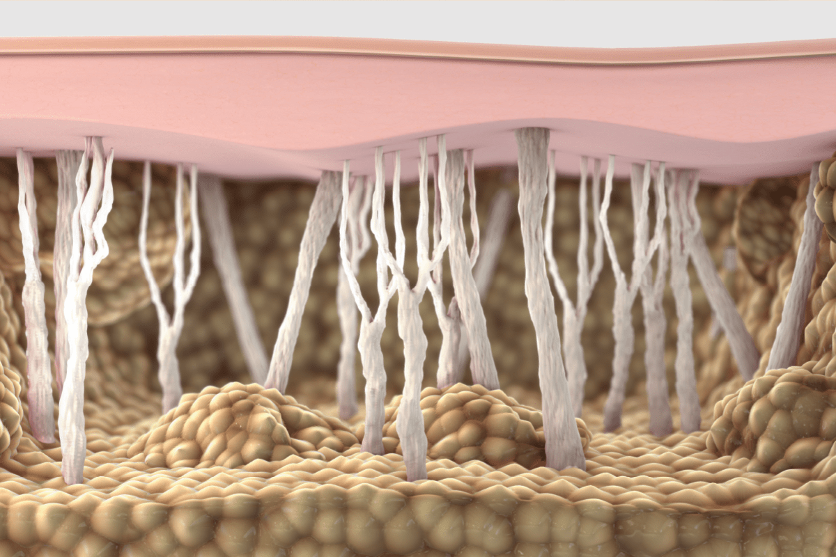 mid_banner_collagene-min