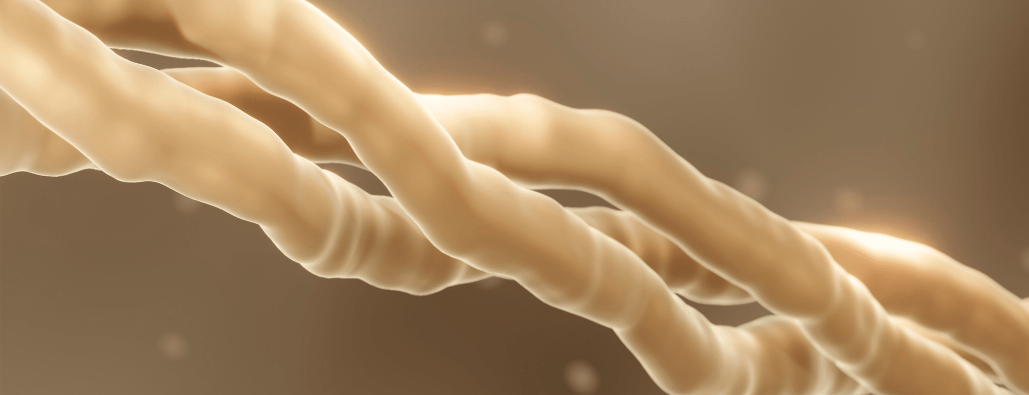 fibra_collagene_collagenina-min