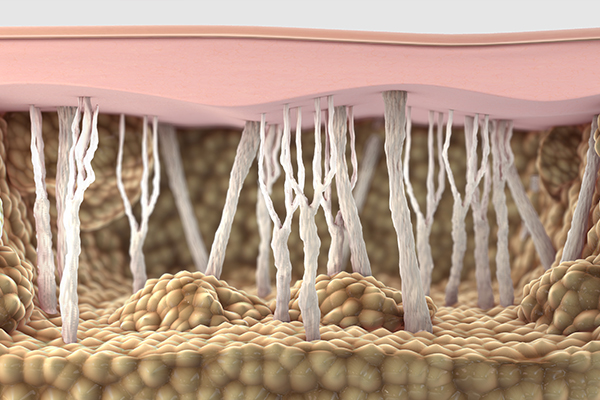 02_mideditoriale-_collagenina