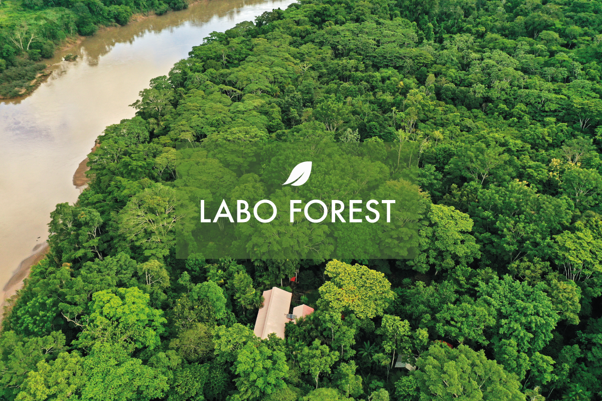 img_laboforest