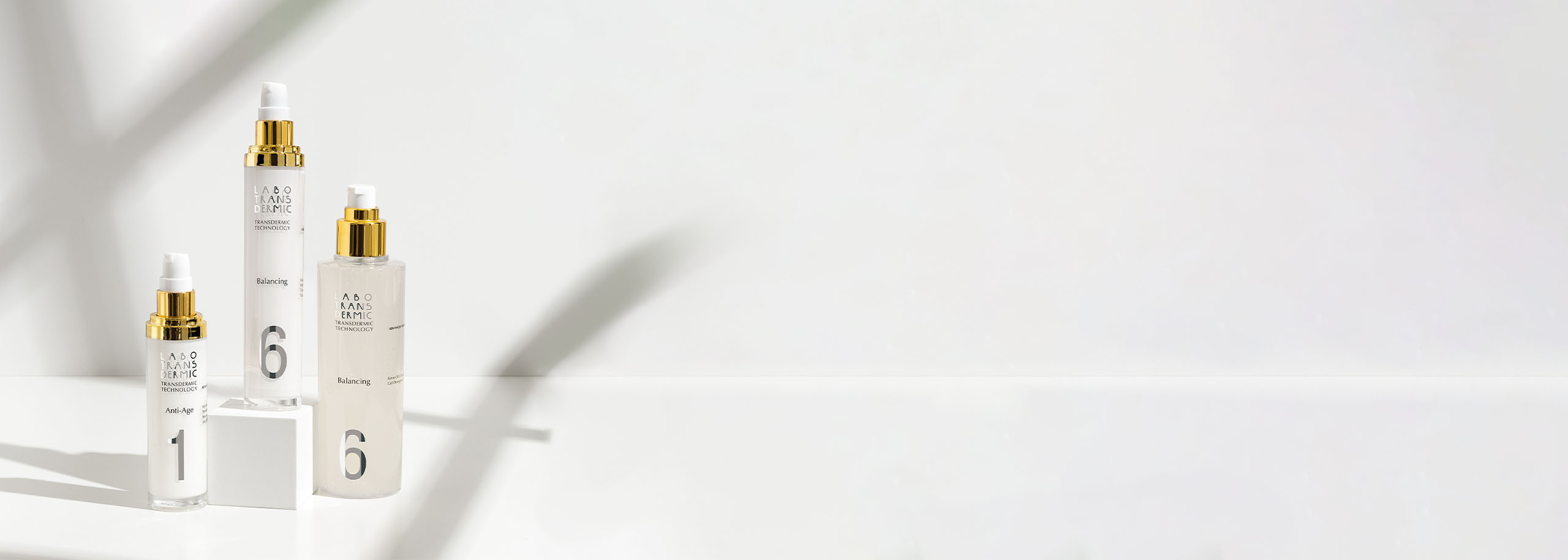 02-FullBanner-generico-scaled