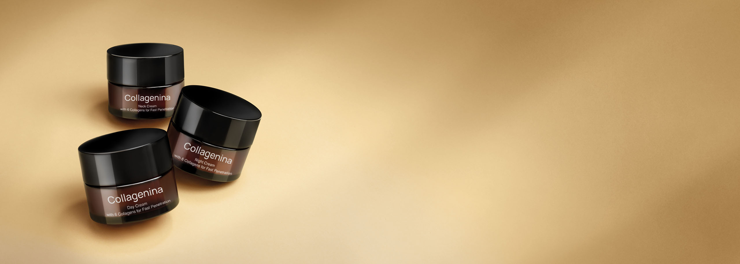 01_fullbanner_collagenina-INT