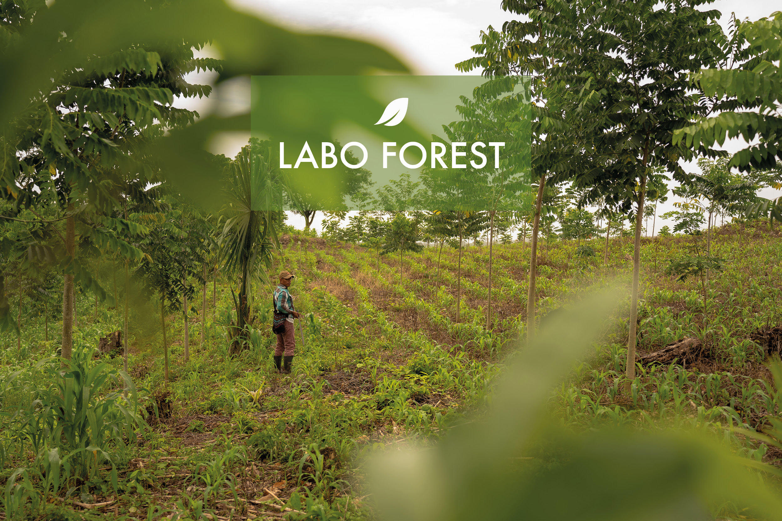 LABO-FOREST