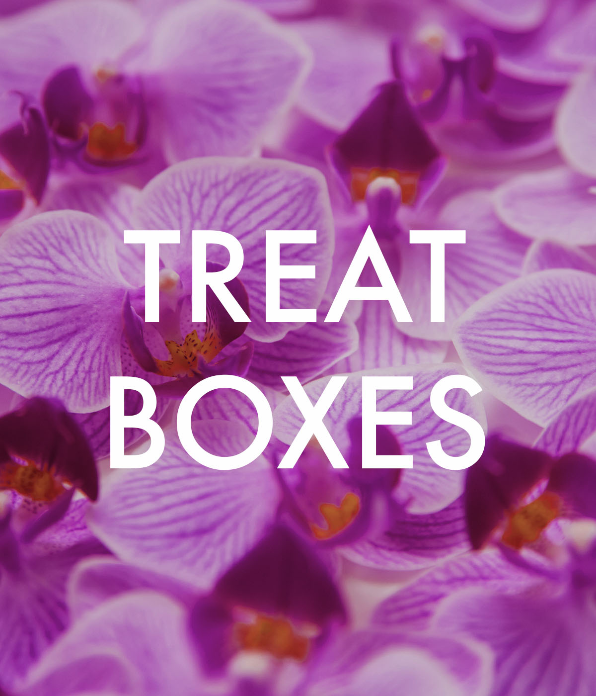 03_treatboxes
