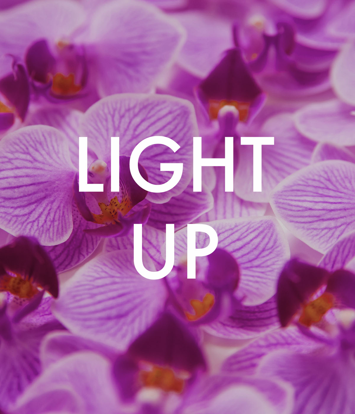 03_lightup