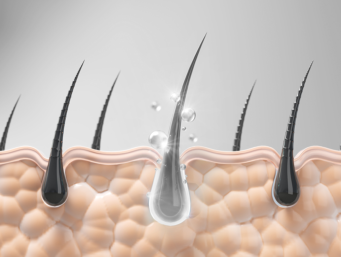 Bulbo pilifero – Azione del trattamento Labo Capelli Bianchi