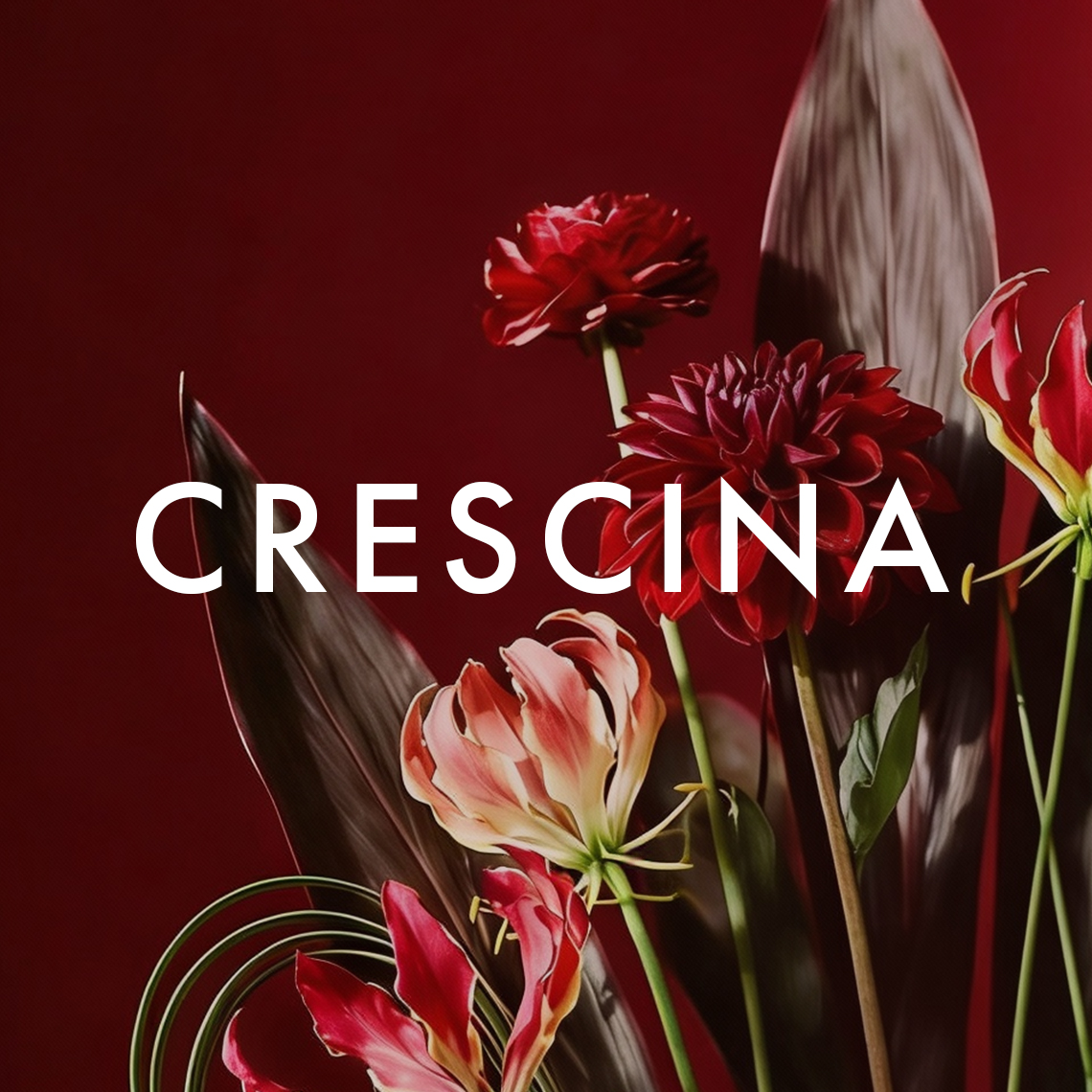 2_card-crescina