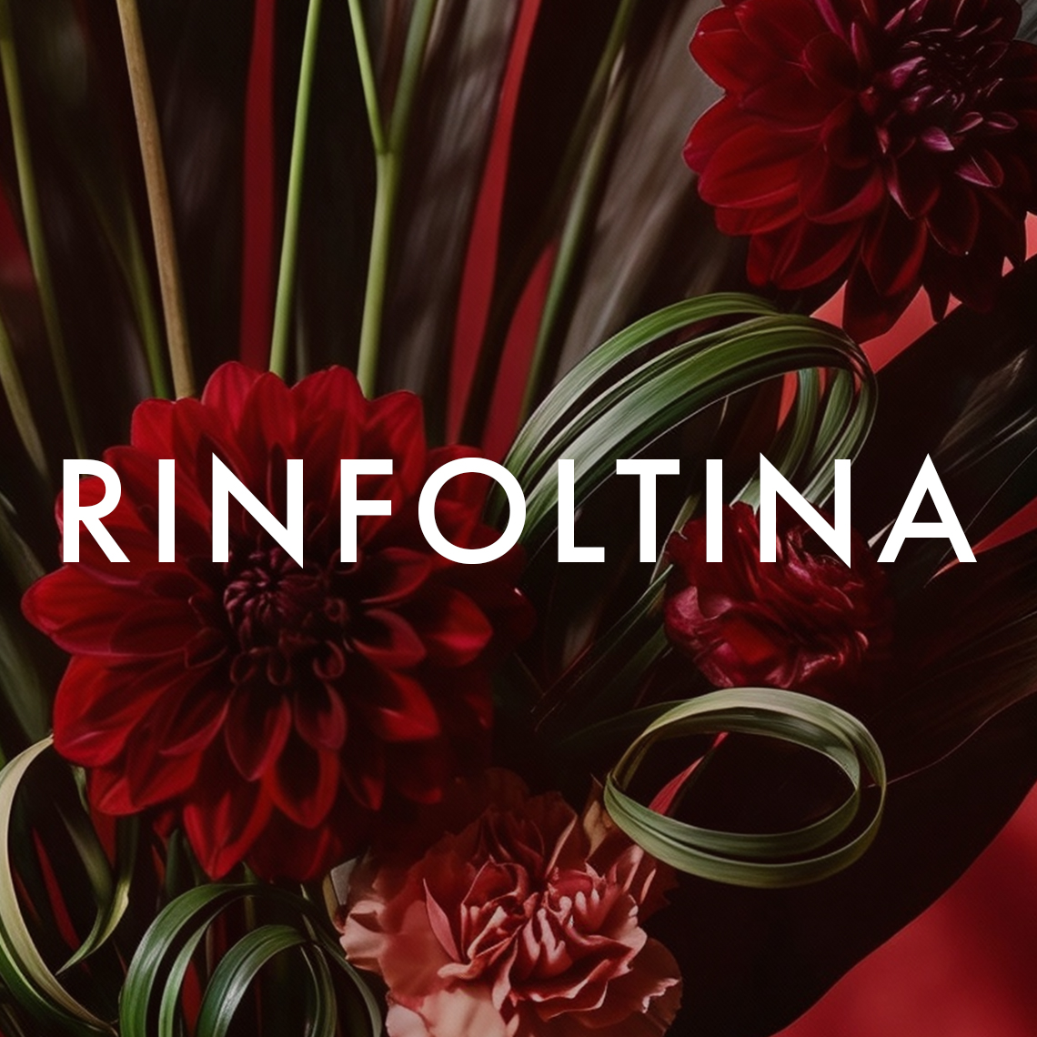 card-rinfoltina