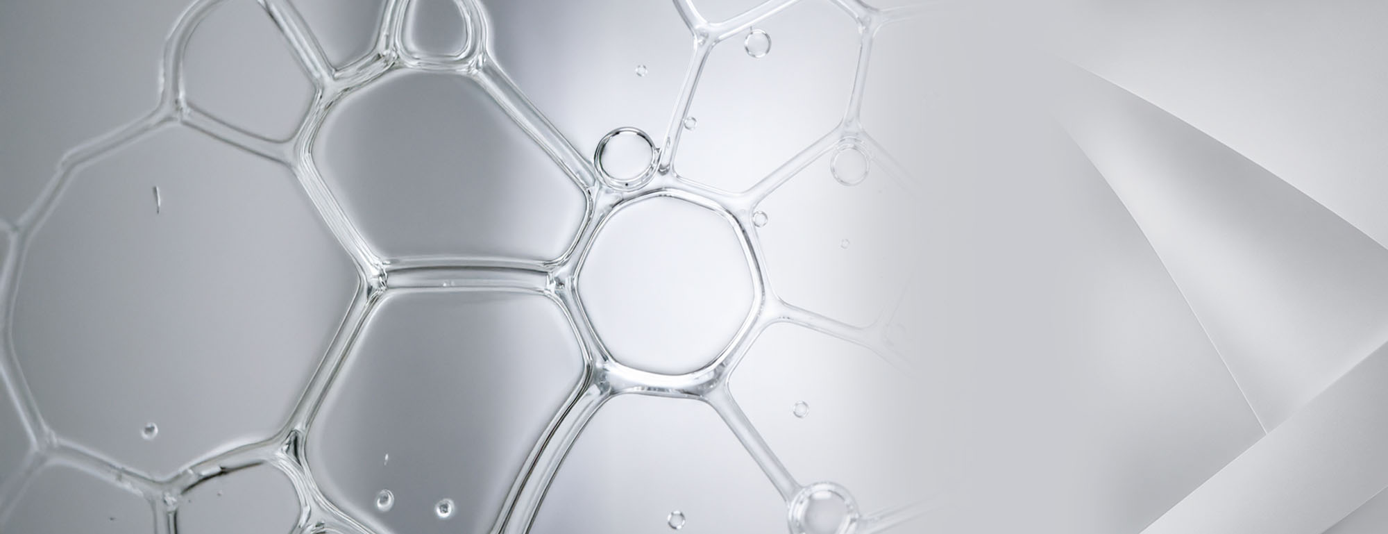 Gray abstract background abstract oil bubble in water wallpaper